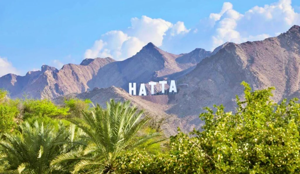 2025 本・雑誌・漫画 ドバイ観光ガイドとノルカードセット